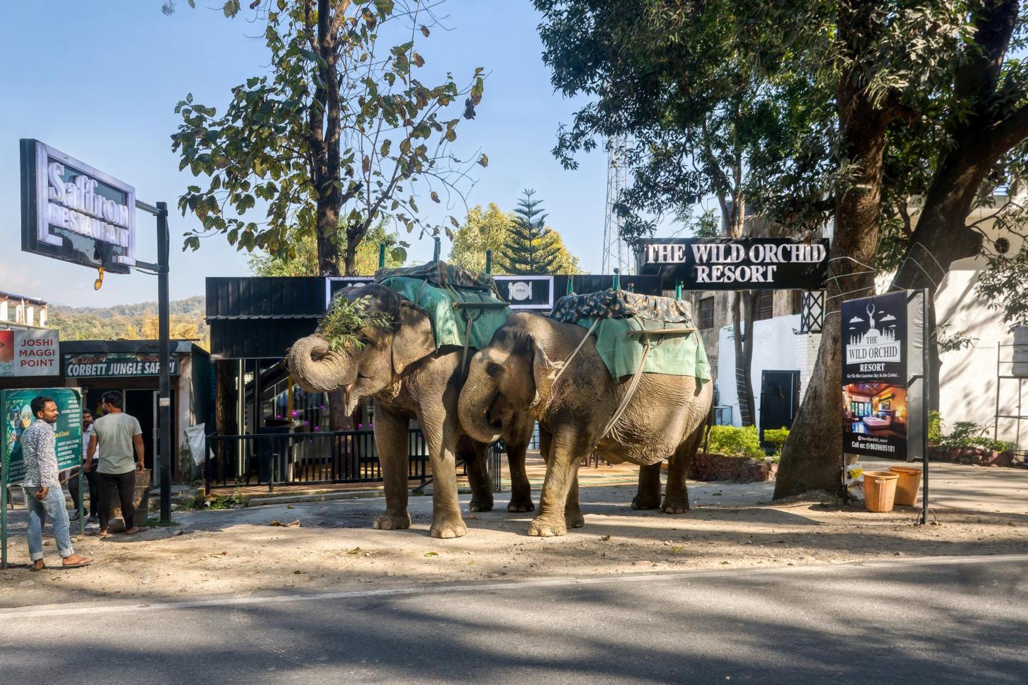 The Wild Orchid Resort Corbett Rāmnagar Exteriör bild