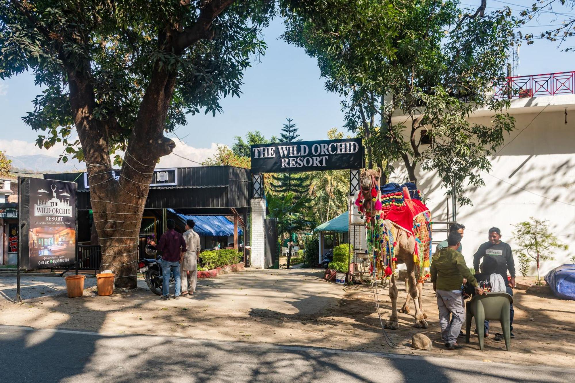 The Wild Orchid Resort Corbett Rāmnagar Exteriör bild